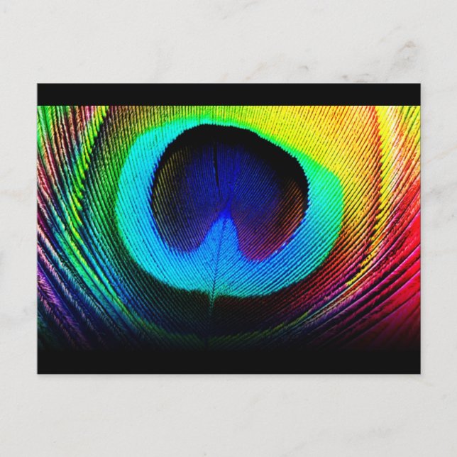 Peacock Feather Design Postcard (Front)