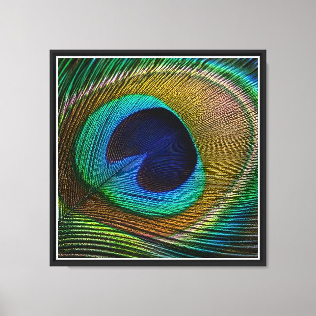 Peacock Feather Eye Canvas Print (Front)