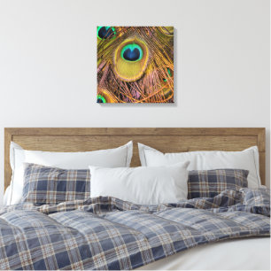 Peacock Feather Eyes Canvas Print