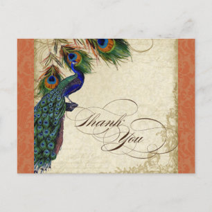 Peacock & Feather Formal Thank You Note Orange Postcard