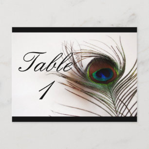 Peacock Feather Glamour Table Number Postcard