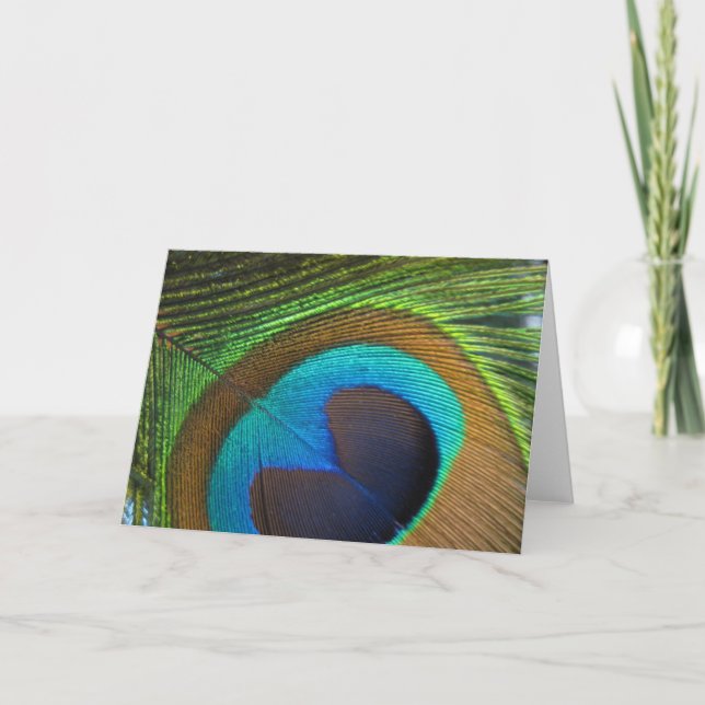 Peacock Feather Greeting Card - blank inside (Front)