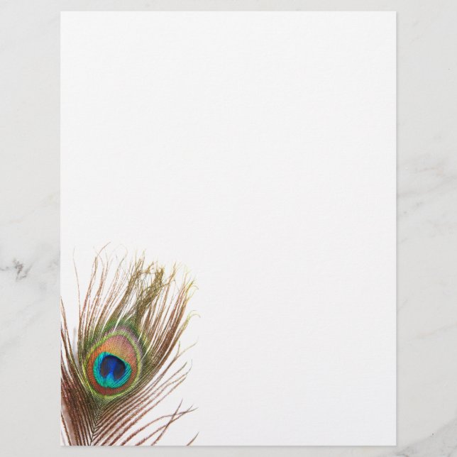Peacock Feather Letterhead (Front)