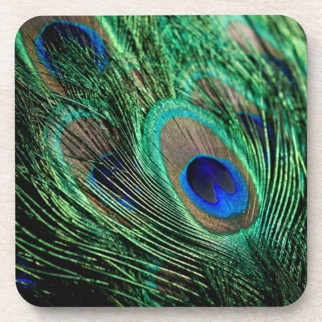 Peacock Feather Lucky Coaster (Front)