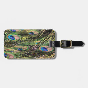 Peacock feather luggage tag