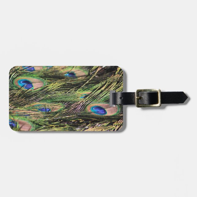 Peacock feather luggage tag (Front Horizontal)