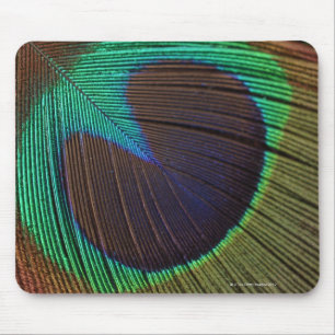 Peacock feather mouse pad