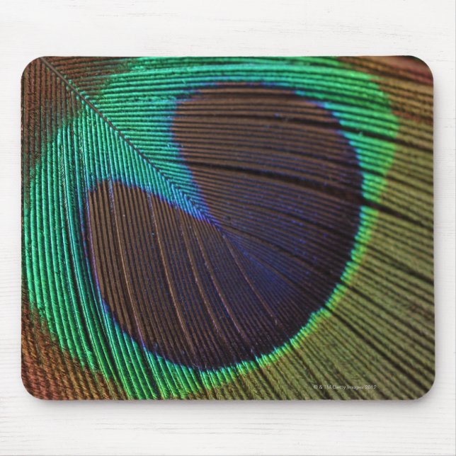 Peacock feather mouse pad (Front)