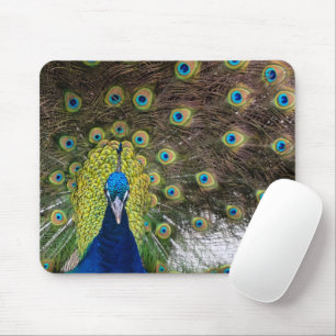 Peacock Feather Mouse Pad