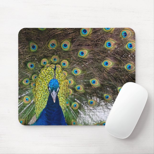 Peacock Feather Mouse Pad (With Mouse)