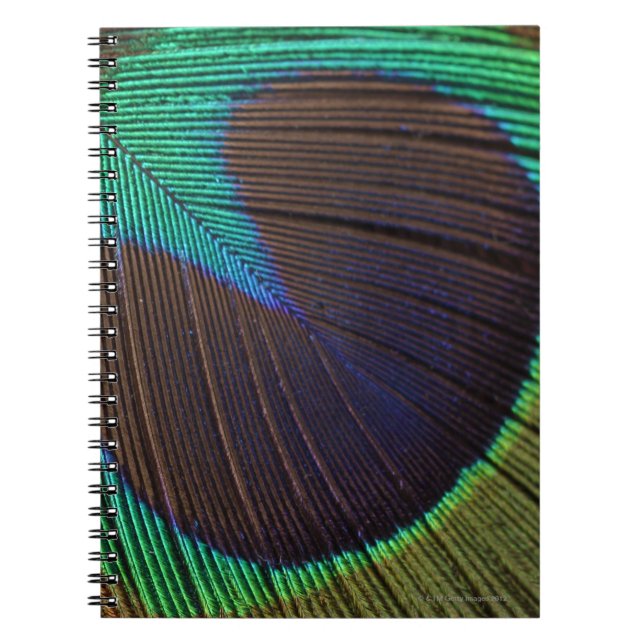 Peacock feather notebook (Front)