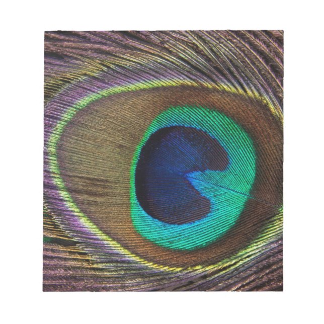peacock feather notepad (Front)