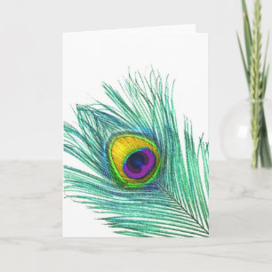 Peacock Feather notes cards