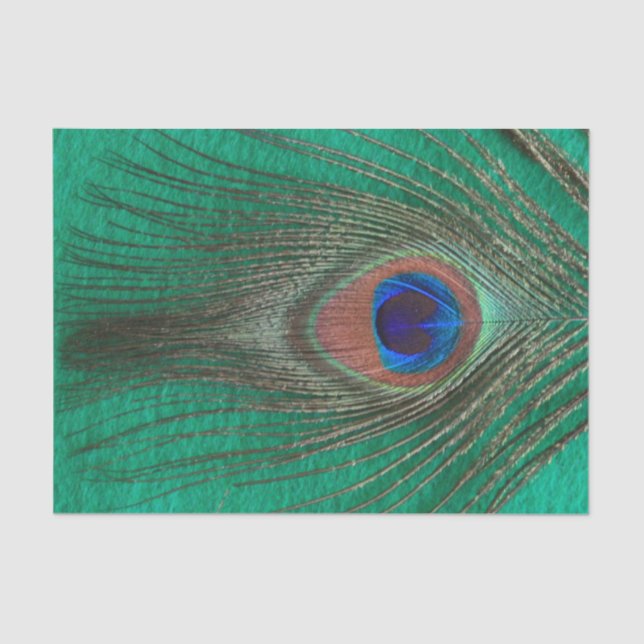 Peacock Feather on Green Tissue Paper (Front)