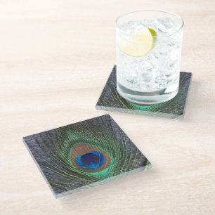 Peacock Feather on Grey Glass Coaster