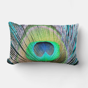Peacock Feather on Turquoise Lumbar Cushion