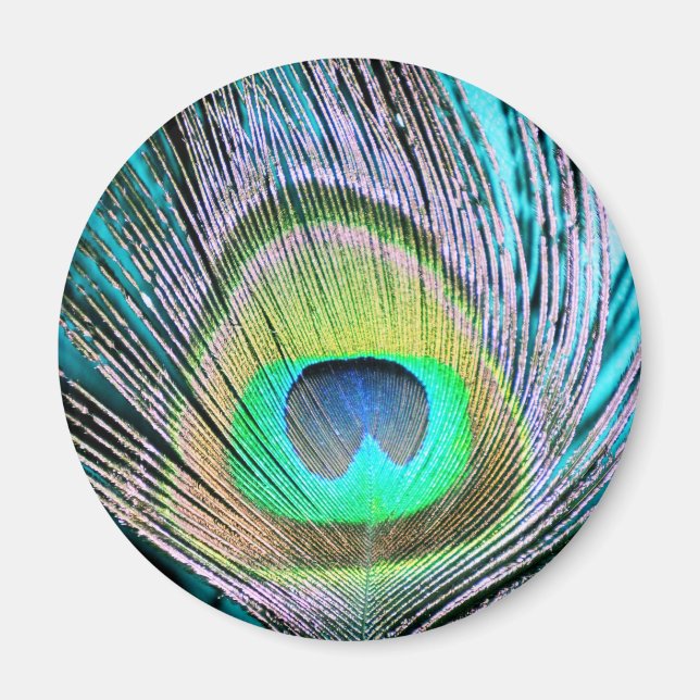 Peacock Feather on Turquoise Magnet (Front)