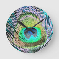 Peacock Feather on Turquoise
