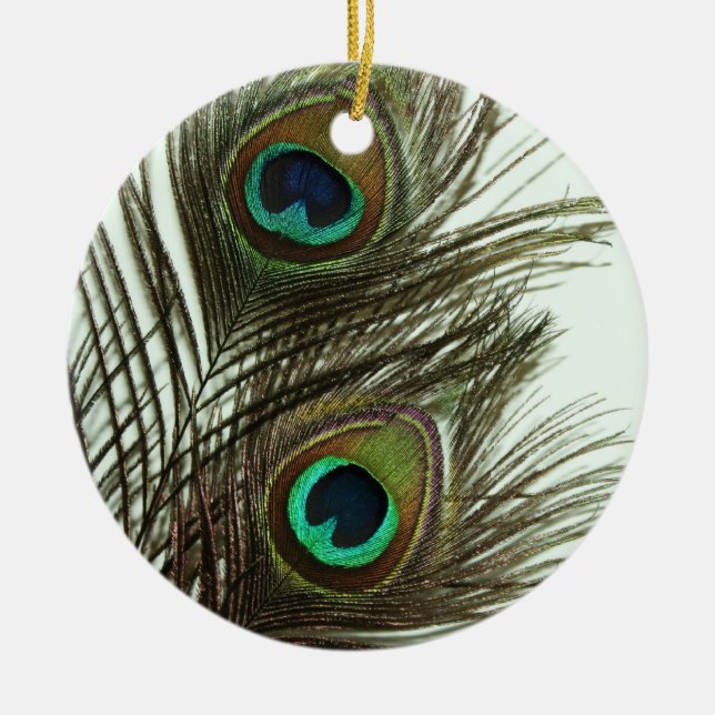 Peacock Feather Ornament (Front)