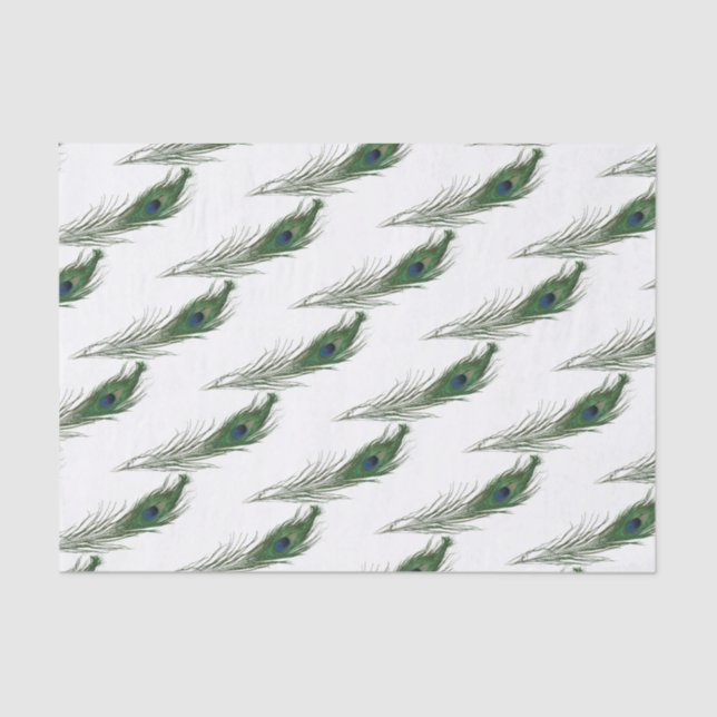 Peacock Feather Patterned | Themed  Tissue Paper (Front)