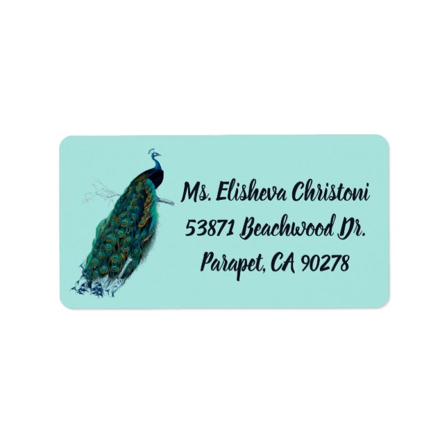 Peacock Feather Peacocks Return Address Labels (Front)
