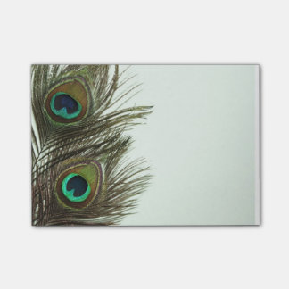 Peacock Feather Post-It Notes