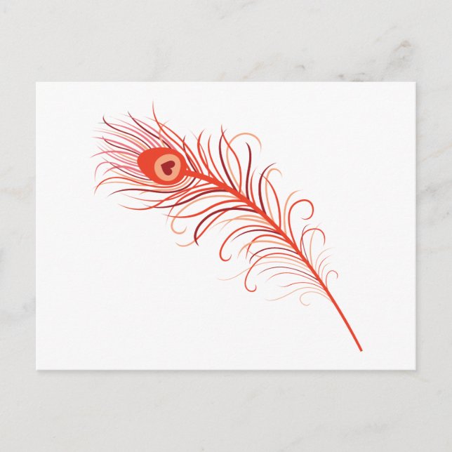 Peacock Feather Postcard (Front)