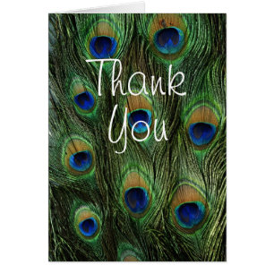 Peacock Feather Print