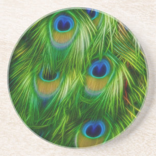 Peacock Feather Print Coaster
