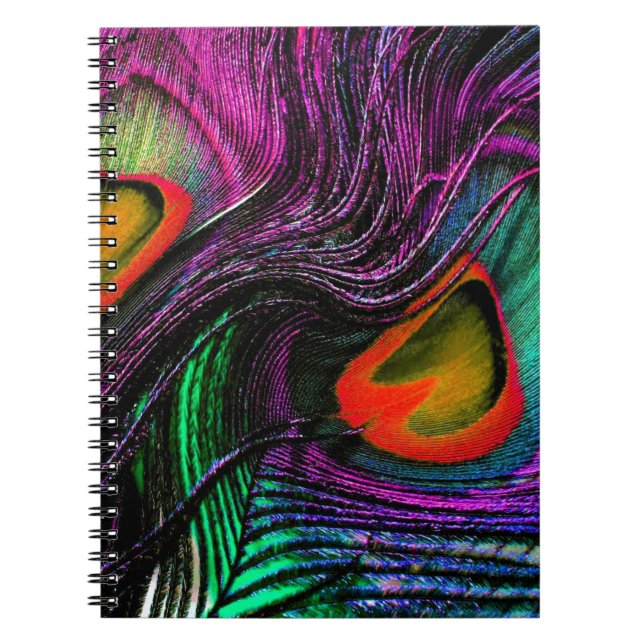 Peacock feather rainbow spiral notebook (Front)