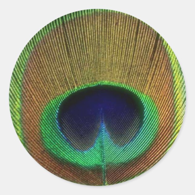 Peacock Feather Sticker (Front)
