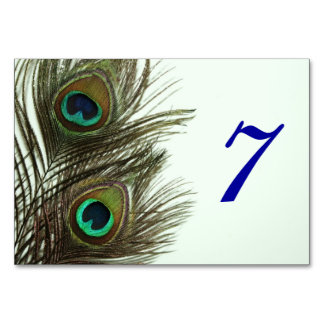 Peacock Feather Table Card