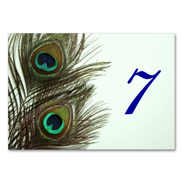 Peacock Feather Table Card (Back)