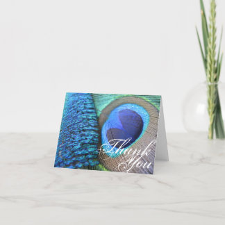 Peacock Feather Thank You