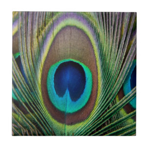 Peacock feather tile