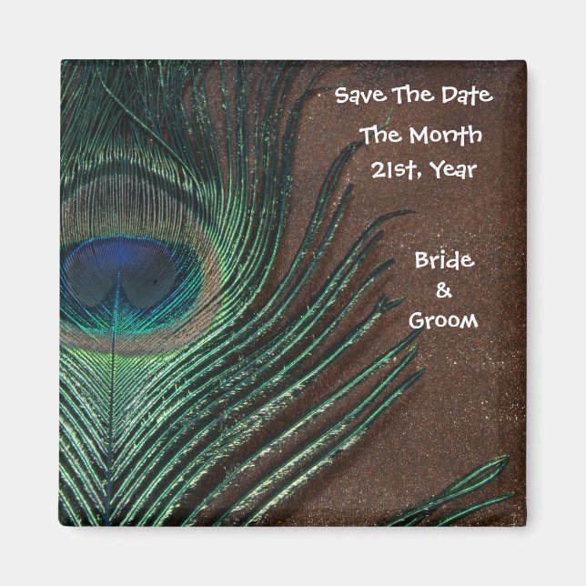 Peacock Feather with Brown and Gold Magnet (Front)