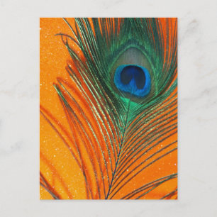 Peacock feather with Orange Glitter Still Life Postcard