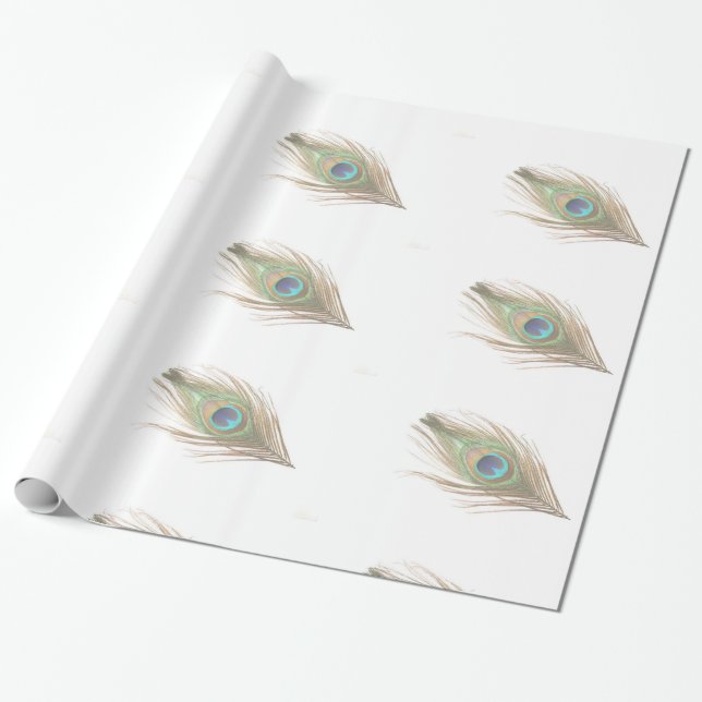 Peacock Feather Wrapping Paper (Unrolled)