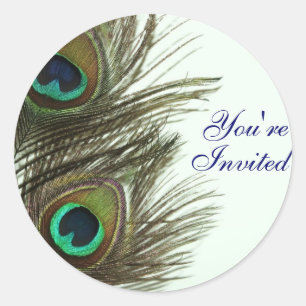 Peacock Feather You're Invited Envelope Stickers