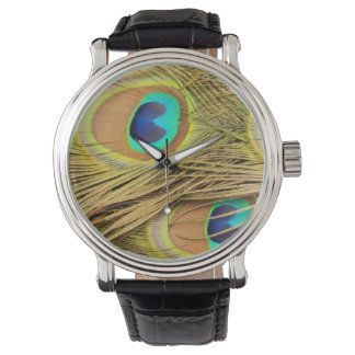 Peacock Feathers 2 Watch & Numeral Options