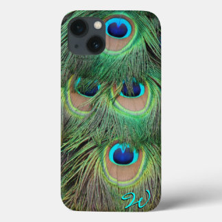Peacock Feathers 3 iPhone 13 Case