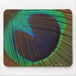 Peacock feathers 3 mouse pad