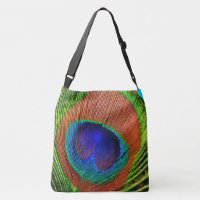 Peacock Feathers 6A-B