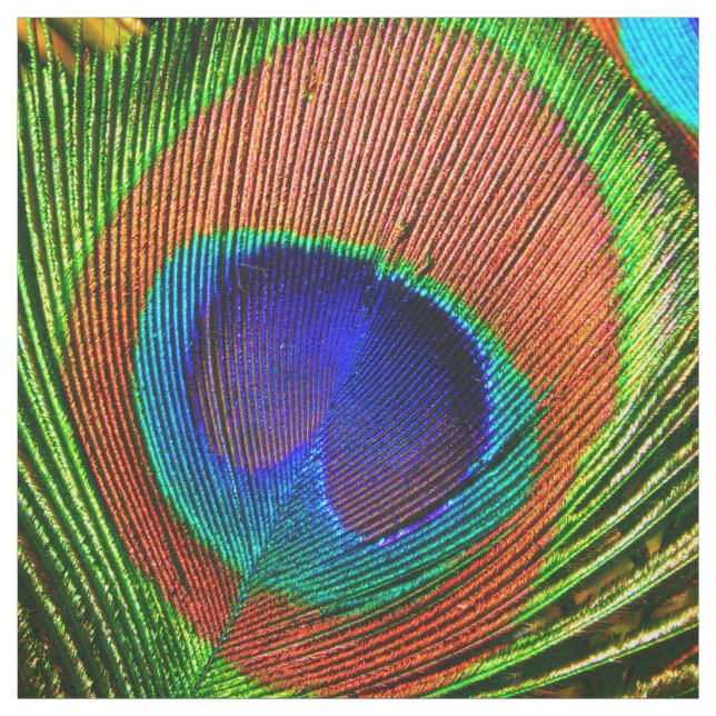 Peacock Feathers 6B Custom Fabric (Swatch)
