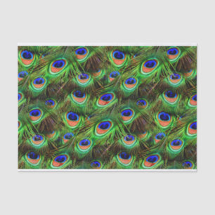 Peacock Feathers 7A-B Options Tissue Paper