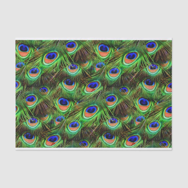Peacock Feathers 7A-B Options Tissue Paper (Front)