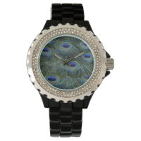 Peacock feathers - Accessories