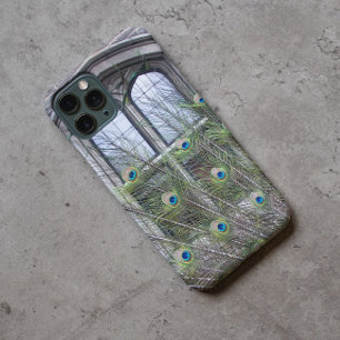 Peacock Feathers and Gothic Windows Photo