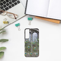 Peacock Feathers and Gothic Windows