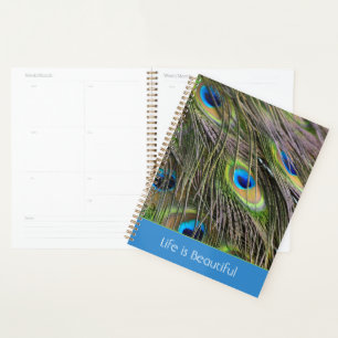 Peacock Feathers Bird Kauai (my photography) Planner